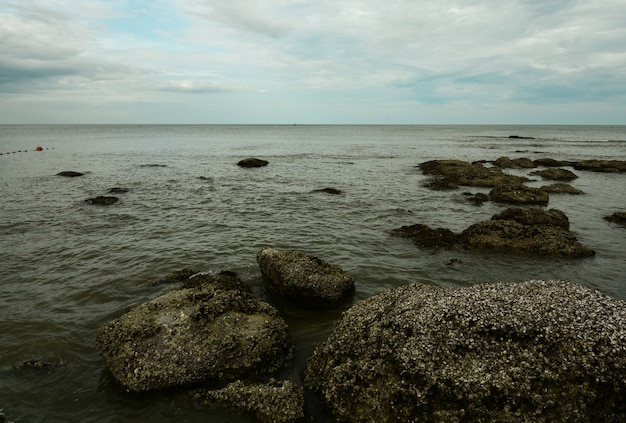 Côte avec des roches.