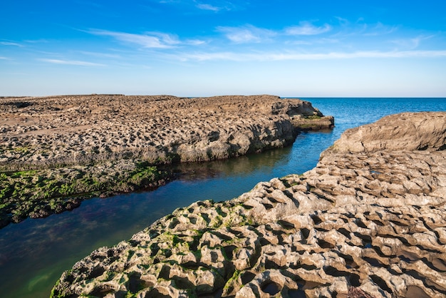 Côte rocheuse aux algues vertes