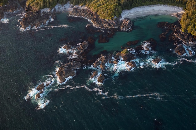 Côte rocheuse sur la côte ouest du Pacifique à Tofino