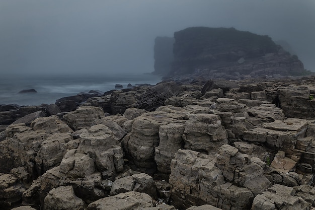 Côte rocheuse et hautes falaises cachées dans mis