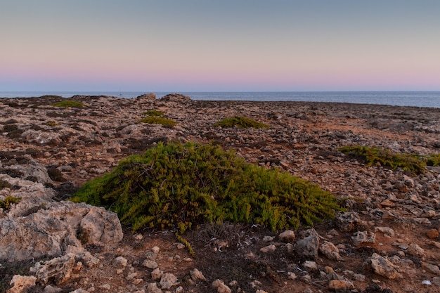 Côte Rocheuse De Lampedusa