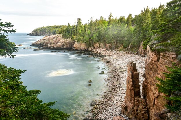 La côte rocheuse de Monument Cove dans le parc national d'Acadia dans le Maine en été