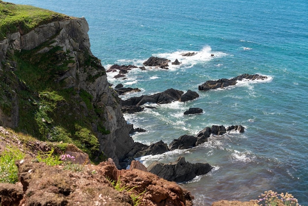 Côte rocheuse sauvage près de Thurlestone dans le Devon