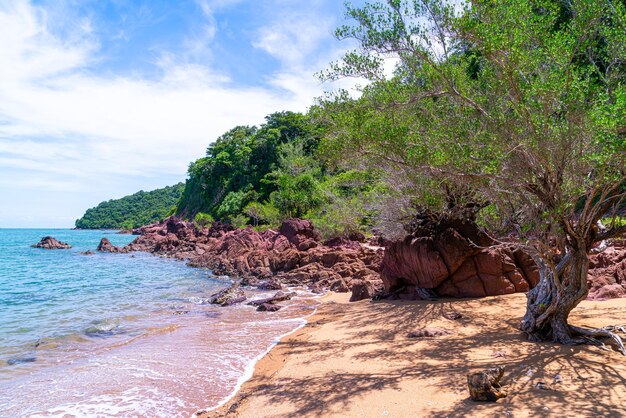 Photo la côte rose ou lan him chomphu à chanthaburi en thaïlande