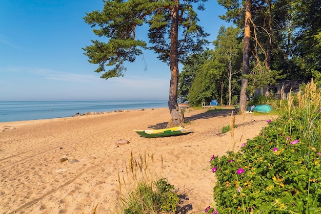 La côte sablonneuse du golfe de Finlande dans la région de Repino