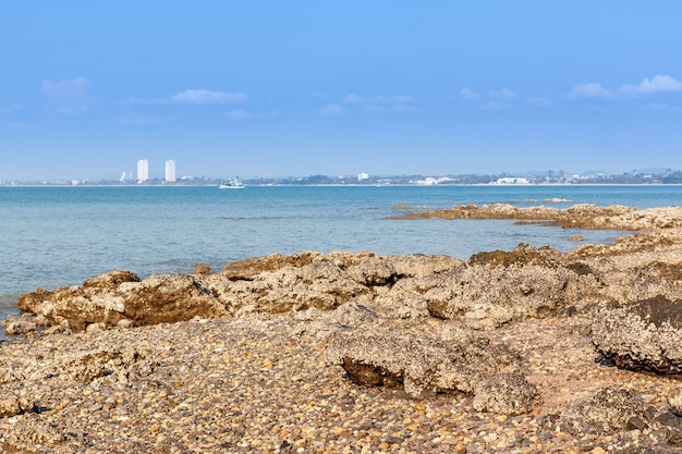 Côte de Sattahip sur fond de ville de Pattaya