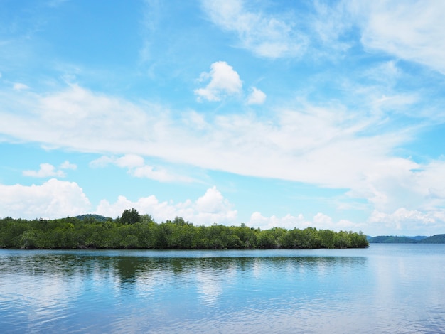 Côte verte et ciel bleu sur une île tropicale