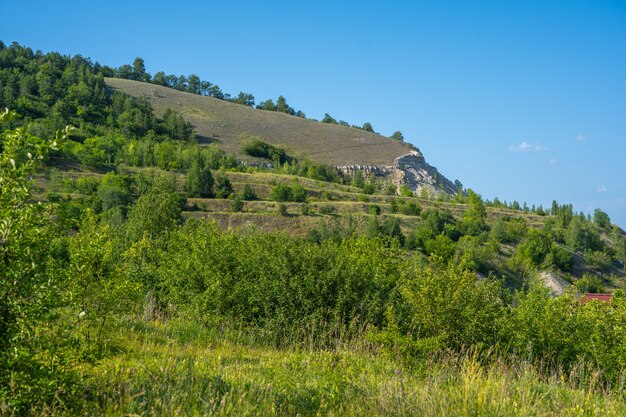 Côte de la Volga près de la ville de Zhigulevsk. Monts Zhiguli. Samarskaïa Louka. L'été.