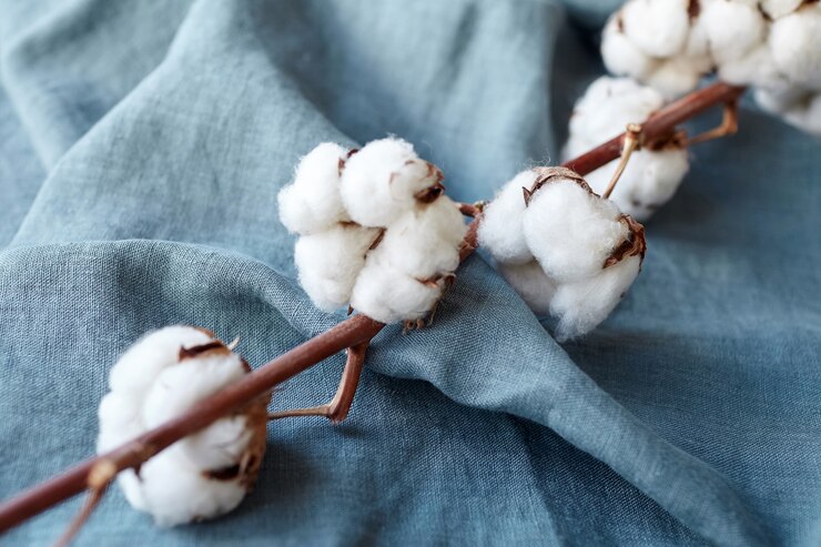 Photo cotonnier à fleurs blanches sur tissu bleu turquoise