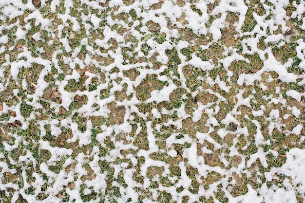 Couche de neige blanche sur l'herbe en hiver