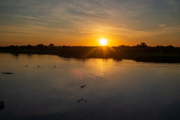 Coucher du soleil dans le Pantanal de l'État du Mato Grosso près de Pocone Mato Grosso Brésil