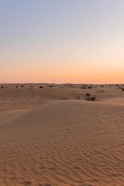 Coucher du soleil du désert avec des dunes vides à Dubaï ou Abu Dhabi Emirats Arabes Unis