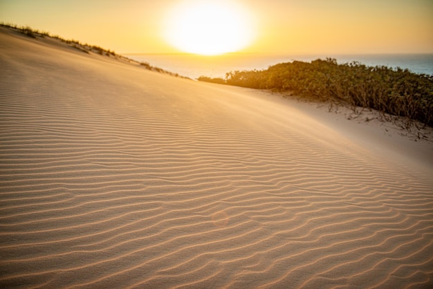 Photo coucher du soleil dune de la plage de ponta grossa icapui ceara brésil