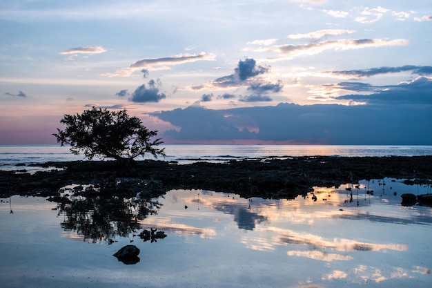 Photo coucher du soleil de mangrove prises à neil island îles andaman inde