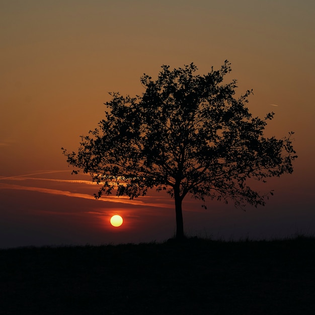 Le coucher du soleil