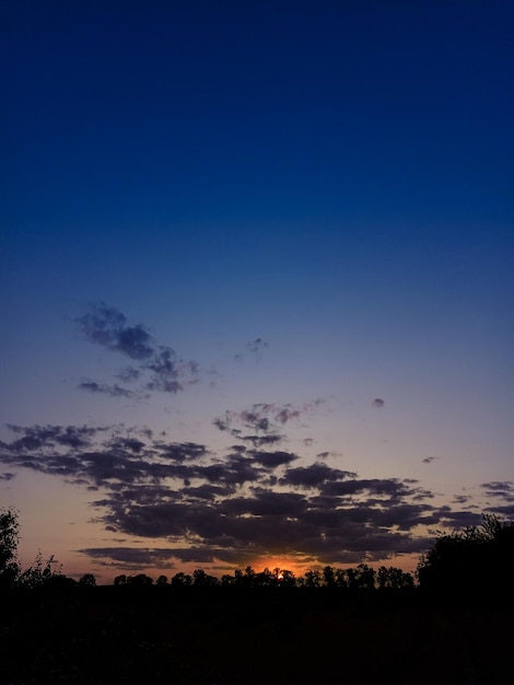 Coucher de soleil sur les arbres noirs Ciel bleu et soleil orange