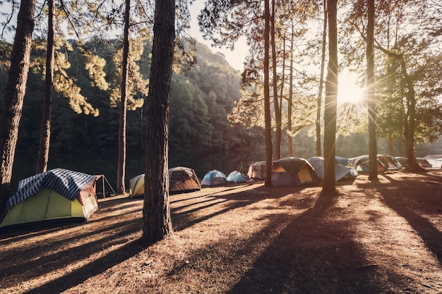 Coucher de soleil au camping avec tente dans la pinède