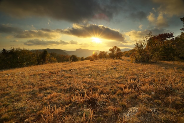 Coucher de soleil d'automne dans la forêt