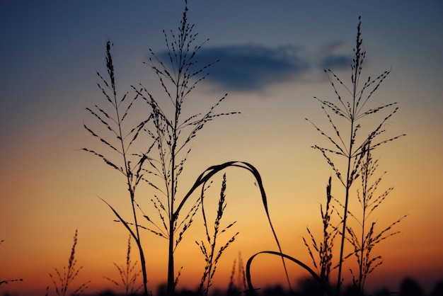 Coucher de soleil d&#39;automne