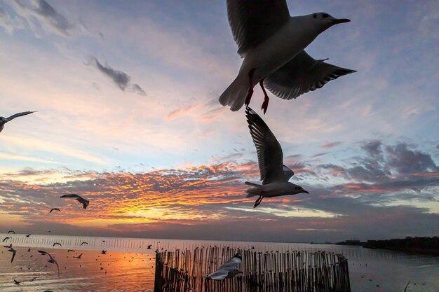 Le coucher de soleil à Bangpu