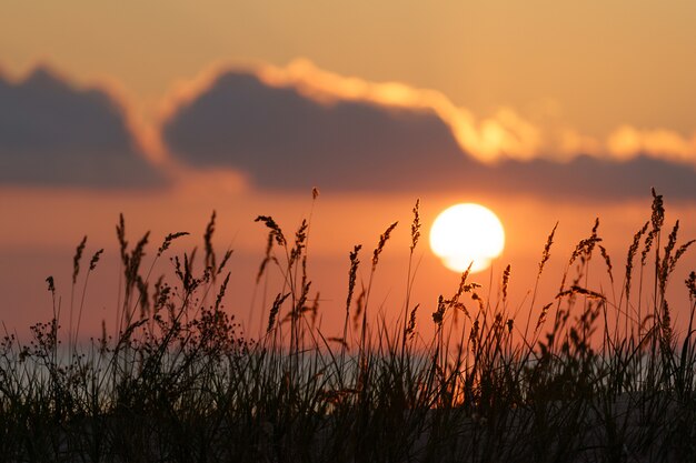 Coucher de soleil brûlant au bord de l'herbe sèche côtière sur le ciel coloré soirée d'été sur la côte de la mer ou du lac