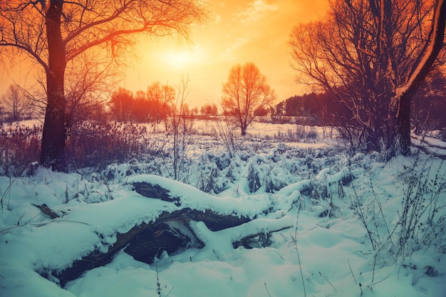 Coucher de soleil à la campagne en hiver