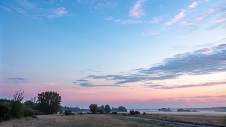 Photo un coucher de soleil avec un champ et des arbres au premier plan