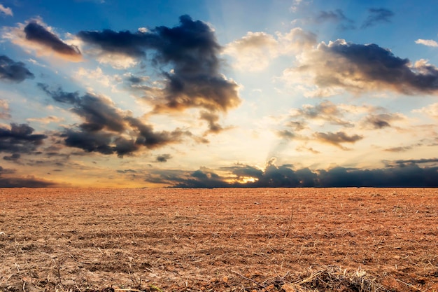 Coucher de soleil sur un champ labouré et un sol de labour de style surélevé Préparation pour l'agriculture et l'agriculture