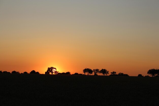 Photo un coucher de soleil sur un champ