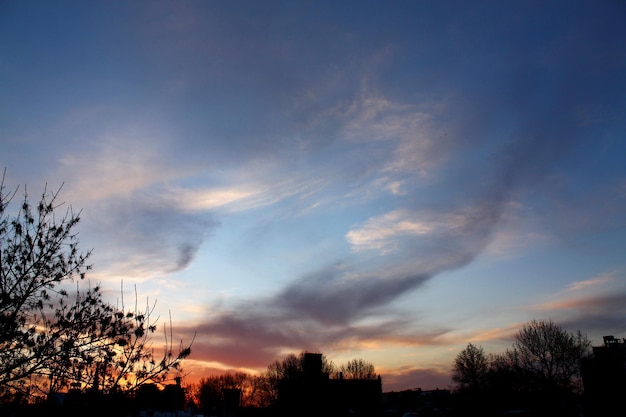 Coucher de soleil ciel nuages branches et arbres