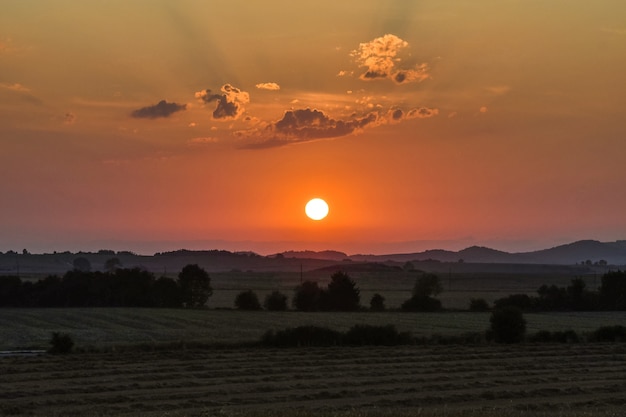 Photo coucher de soleil dans un champ avec un beau soleil en arrière-plan