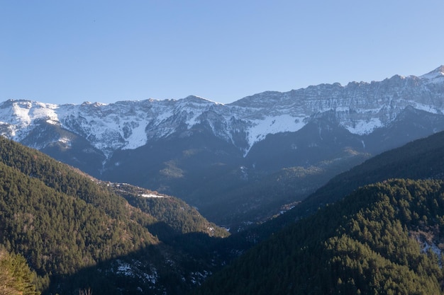 Coucher de soleil dans des montagnes enneigées entourées de forêts de pins