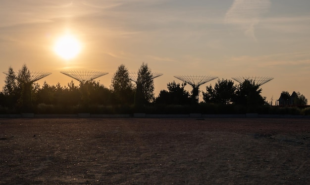 Coucher de soleil dans le parc paysager