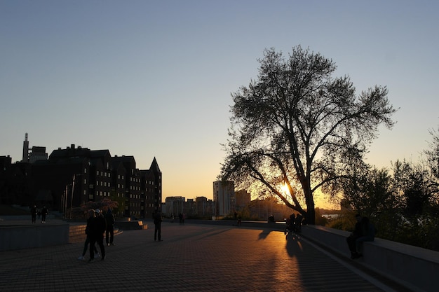 Coucher de soleil dans le parc de la ville