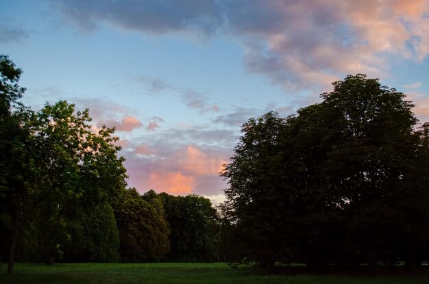 coucher de soleil dans le parc