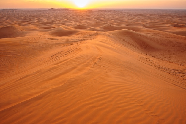 Coucher de soleil dans le sable du désert