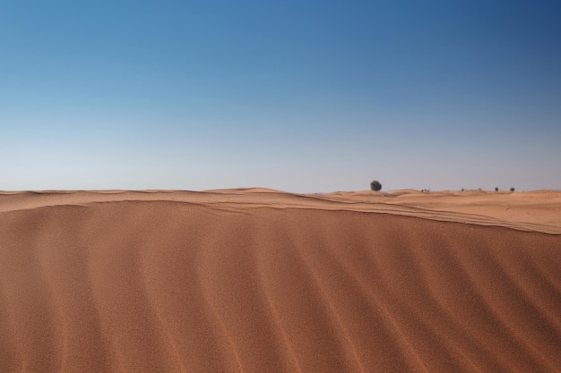 Coucher de soleil sur les dunes de sable dans le désert