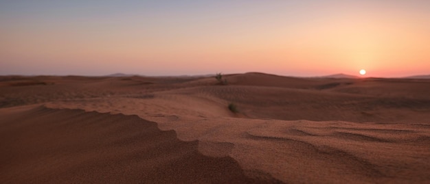 Coucher de soleil sur les dunes de sable dans le désert