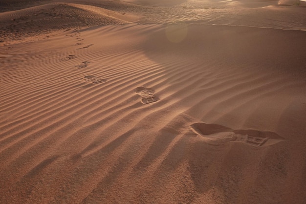 Coucher de soleil sur les dunes de sable dans le désert