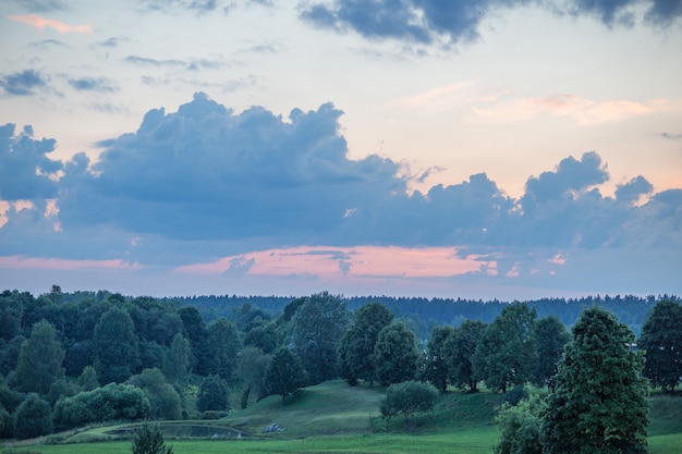 coucher de soleil d'été sur la forêt