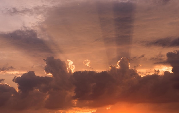 Coucher de soleil d'été avec des rayons de soleil.