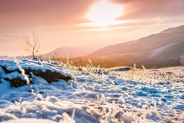 Coucher de soleil fantastique dans les montagnes d'hiver. Beau paysage d'hiver. faible profondeur de champ