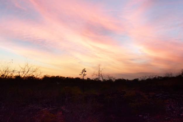 coucher de soleil à floriano piaui nord-est du brésil