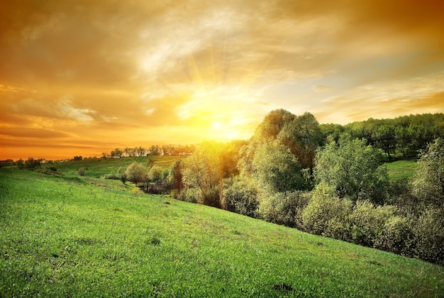 Coucher de soleil sur la forêt sur la colline