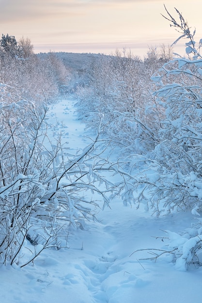 Coucher de soleil froid dans une forêt gelée avec petit sentier