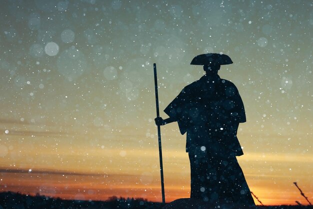 Le coucher de soleil d'hiver du guerrier oriental