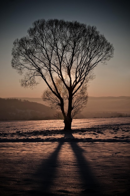 coucher de soleil d&#39;hiver