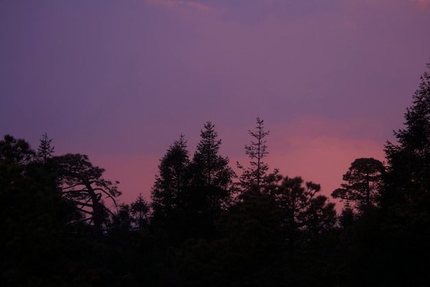 Coucher de soleil à l'horizon avec un ciel dramatique de couleurs pastel roses