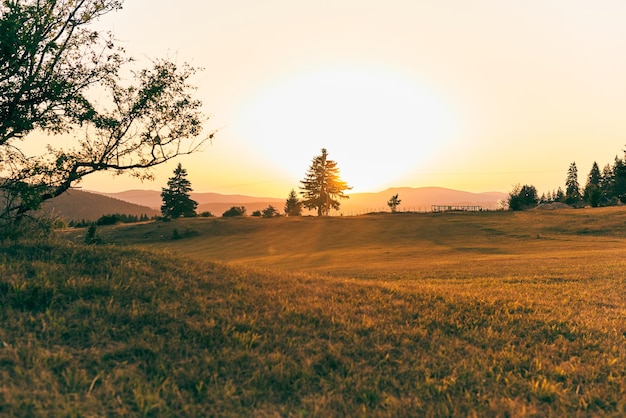 Coucher de soleil à l'horizon sur la prairie sur le paysage agricole rural