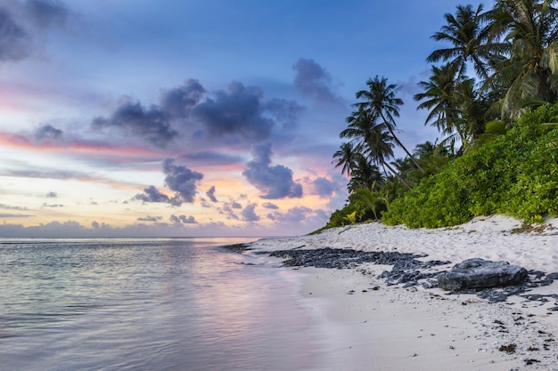 Coucher de soleil sur l'île tropicale